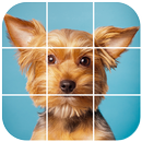 Yorkshire Terrier Tile Puzzle APK