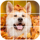 Akita Tile Puzzle أيقونة