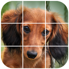 Dachshund Tile Puzzle icône