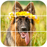 German Shepherd Tile Puzzle icon
