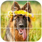 German Shepherd Tile Puzzle icône