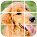 Golden Retriever Tile Puzzle APK