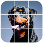 Rottweiler Tile Puzzle أيقونة