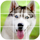 Siberian Husky Tile Puzzle アイコン