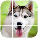 Siberian Husky Tile Puzzle icône