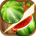 Fruit Slice