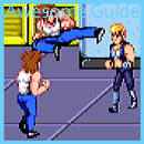 Guide for Double Dragon 2 APK