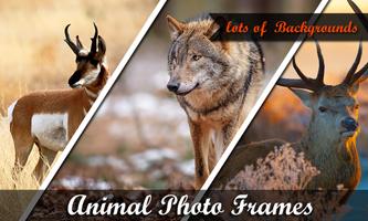 Animal photo frame 截圖 1