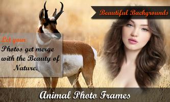 Animal photo frame 截圖 3