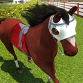 Horse Run Champion
