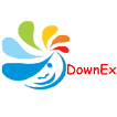 Downex (síndrome de down game)