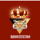 Bronstitution - Bro Code/Laws APK