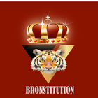 Bronstitution - Bro Code/Laws icône
