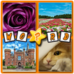 4 pics 1 word ,what's the word