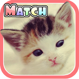 Cute Kitten Match - Memory app