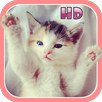 Cute Kitten & Puppy Sounds HD APK