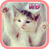 Cute Kitten & Puppy Sounds HD