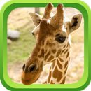 Wild Animal Games & Sounds APK