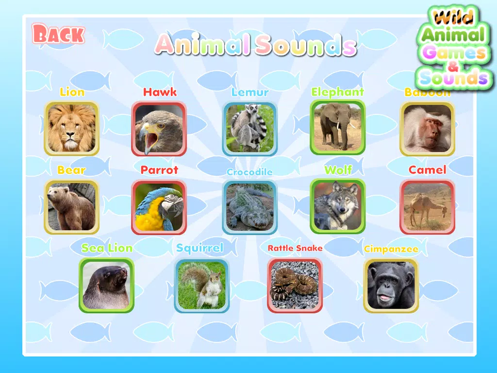 Wild Animal Games & Sounds APK for Android Download