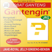 Gantengin Maker App HD