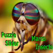 Puzzle Slider Macro Insects