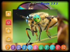 Puzzle Slider Macro Insects screenshot 3