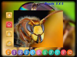 Puzzle Slider Macro Insects screenshot 1