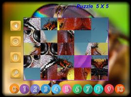 Puzzle Slider Macro Insects Ekran Görüntüsü 2