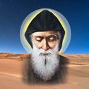 Novena a San Chárbel Makhlouf APK