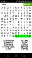 Word Search - English Affiche
