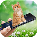 Cat in Phone: Cute Virtual Kitten Prank App Free APK