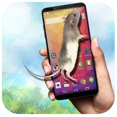 Rato em Tela Engraçado Ratos Pegadinha