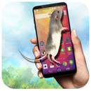 Mouse on Screen Funny Mice - Mobile Scary Prank APK
