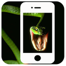 Snake on Screen: Scary Reptile Live Cobra Snake APK