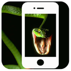 Snake on Screen: Scary Reptile Live Cobra Snake Zeichen