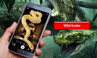 Snake on Screen: Scary Reptile Live Cobra Snake Plakat