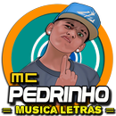 Musica Mc Pedrinho Letras Mp3 Funk Brasil 2017-APK