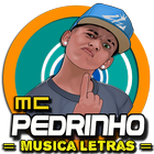Musica Mc Pedrinho Letras Mp3 Funk Brasil 2017 icône