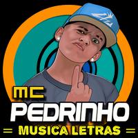 Musica Mc Pedrinho Letras Mp3 Funk Brasil 2017 الملصق