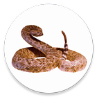 Rattlesnake icône