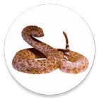 Rattlesnake icon