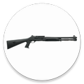Shotgun