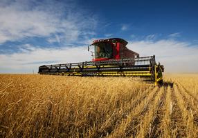 Combine Harvesters Puzzle screenshot 2