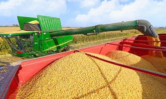 Wheat Harvester Puzzle 포스터
