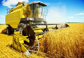 Wheat Harvester Puzzle 스크린샷 1