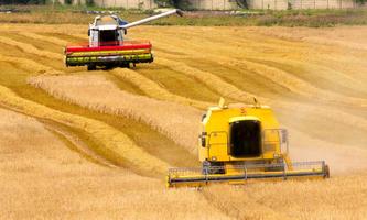 Wheat harvester enigma imagem de tela 2