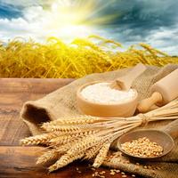 Wheat Harvester Puzzle 스크린샷 3