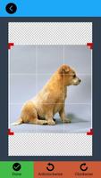 Background Remover captura de pantalla 1