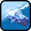 Dolphin Show Games For Free APK