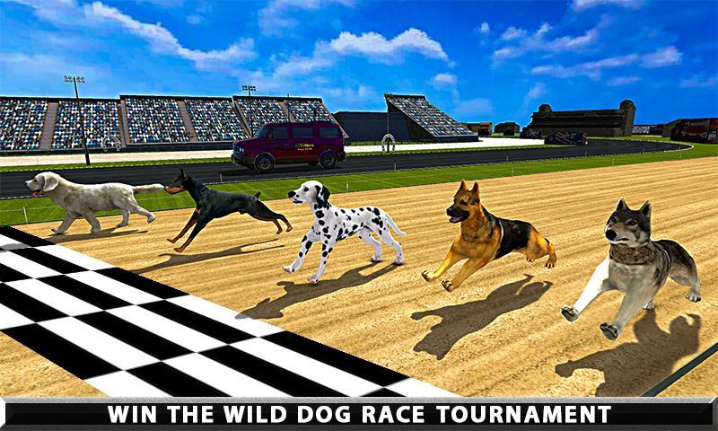 Dog racing betting advice bulletin blue jays vs houston astros